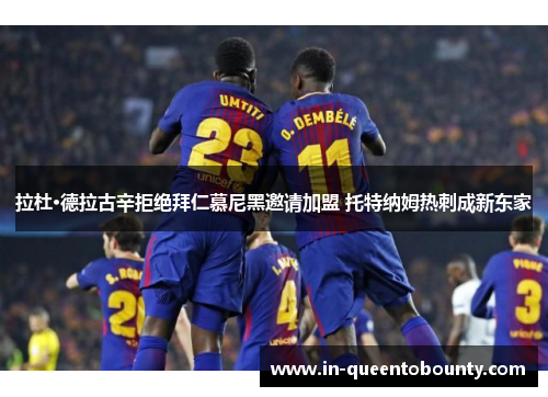 拉杜·德拉古辛拒绝拜仁慕尼黑邀请加盟 托特纳姆热刺成新东家 拉杜·德拉古辛拒绝拜仁慕尼黑邀请加盟 托特纳姆热刺成新东家