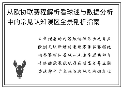 从欧协联赛程解析看球迷与数据分析中的常见认知误区全景剖析指南